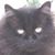 Clark Smith's profile image