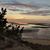 Michelle Falcon Denlinger's profile image