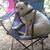 Lyndie Root's profile image