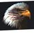 Lyn Papke's profile image