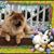 Sherry Luttrell Whittington's profile image