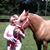Bonita Luper's profile image
