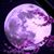 Alice Morrissette Muise's profile image