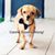 Carolyn Cairo's profile image
