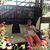 Myrna Fernando Handmacher's profile image