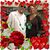 Sharon Sheehan's profile image
