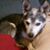 Marsha Ann Sharp's profile image