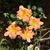 Patsy Wright Rickey's profile image