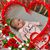 Diane Coursey Gibellino's profile image