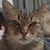 Adair Bradford's profile image