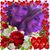 Yaneth V. Perez's profile image