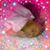 Yoshie Kamaka Hudson's profile image