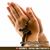 Jose Chale's profile image