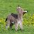 Susie Happ's profile image