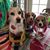 Judi Murphy Graham's profile image