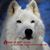 Larry Casaday's profile image