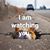 Debbie Bennett's profile image