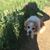 Kristy Elizabeth's profile image