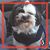 Lucy Bierner's profile image