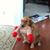 Sharon J Adams's profile image