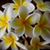 Marian Jefferys's profile image