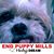 Rosie Davis's profile image