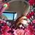Ivie Abron's profile image