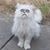 Curtis Frink's profile image