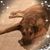 Chere Woltz Oliver's profile image