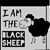 Steve Woodyard's profile image