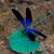 Sue Duff's profile image