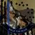 Ca Cata Mount's profile image