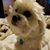 Kristin Silman's profile image