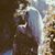 Sabrina Swinford's profile image