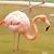 Lynda Gibson Lawson's profile image