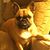 Robin Doup's profile image