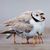 Colleen K. Myers's profile image