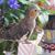 Lynn Torra's profile image