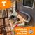 Amanda Brooke Schneider's profile image