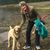 Marsha Shenk's profile image