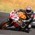 Trace Sardone's profile image