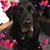 Heather Combs's profile image