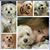 Lizeth Alvarado's profile image