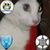 Patsy Argo's profile image