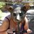 Elizabeth Hatsell Killion's profile image