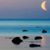 Elizabeth Stevenson's profile image