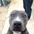 Armando Heredia's profile image
