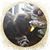 Anita Bontrager's profile image