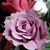 Judy Nelson's profile image