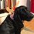 Vicki Fielding's profile image